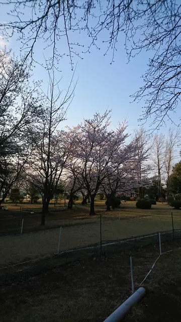 Kitatonekita Park