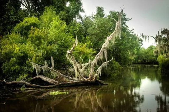 Barataria Preserve Visitor Center