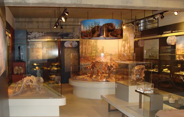 Museu de Paleontologia da UFRGS Irajá Damiani Pinto