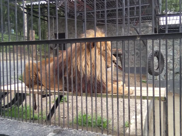 Sakhalinskiy Zoobotanicheskiy Park