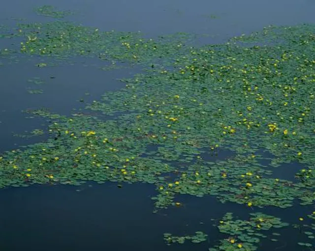 Carolina Sandhills National Wildlife Refuge Admin Building And Visitor Contact Station