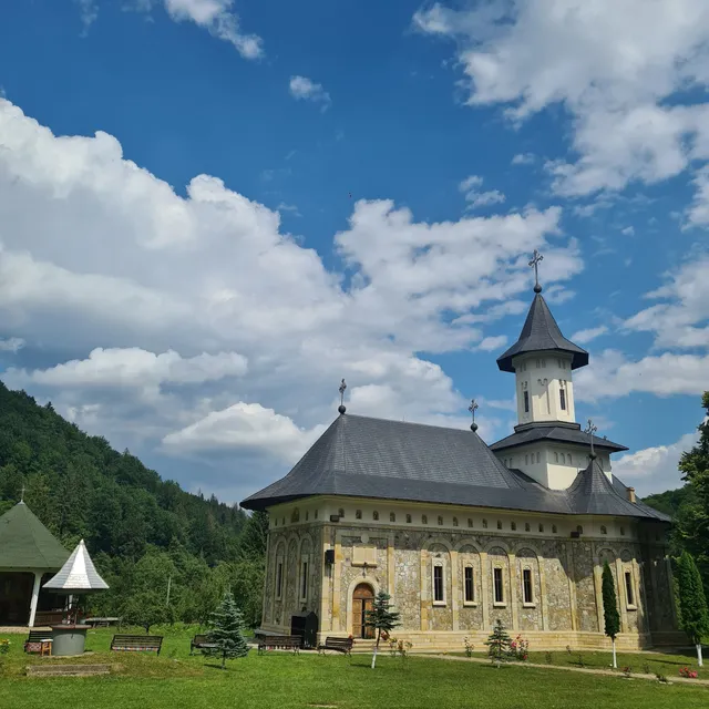 Schitul Icoana Nouă