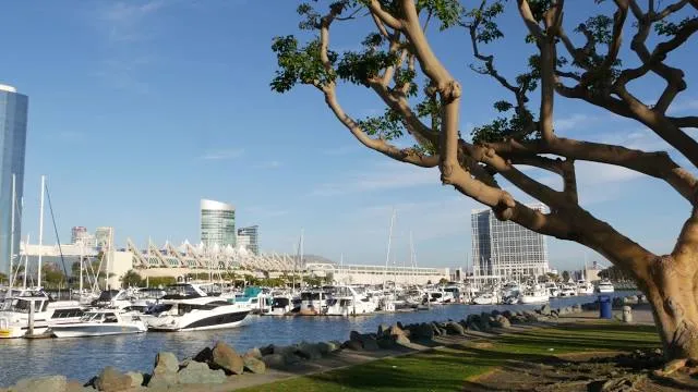 photo-1