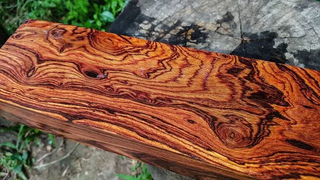 Cypress Creek Nature Preserve