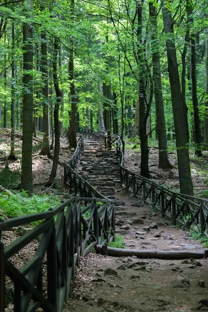 photo-2