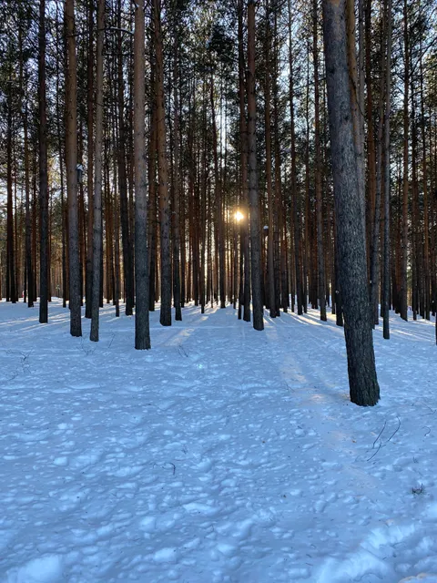 Park Kul'tury I Otdykha Pervoural'ska