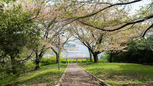 Hikoshimaminami Park