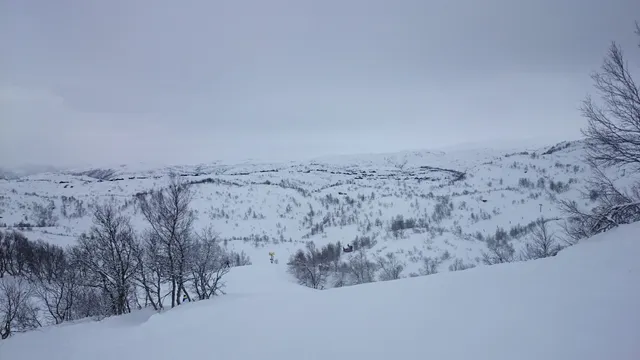 Ådneram skitrekk AS