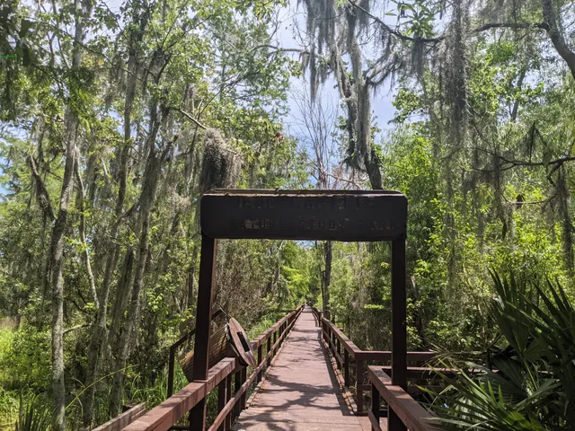 Lafitte's Barataria Museum and Wetland Trace