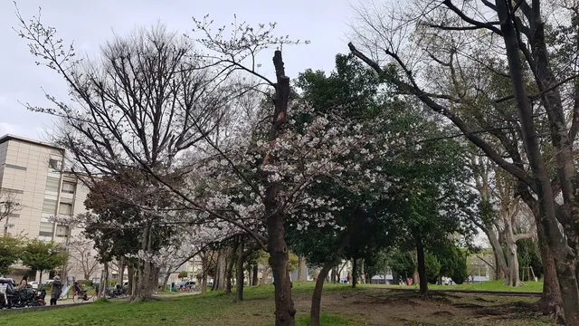 Mikunihonmachi Park
