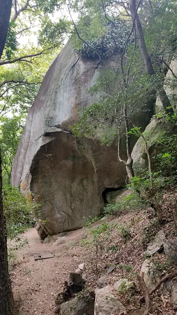 photo-3