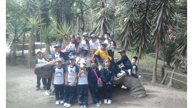 photo-1