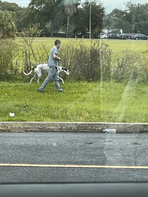 Universal Animal Clinic