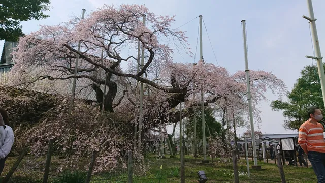 photo-2