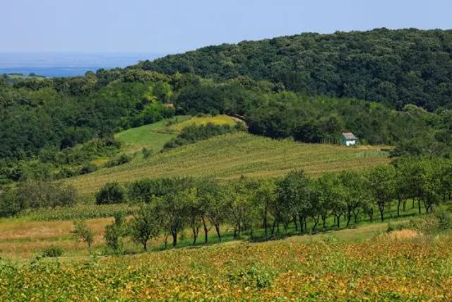 Fruška Gora National Park
