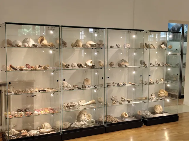 Palazzo Bracci Pagani