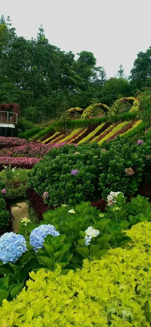 Buwakan ni Alejandra