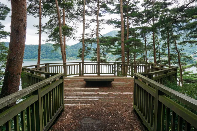Okukawaguchiko Sakuranosato Park