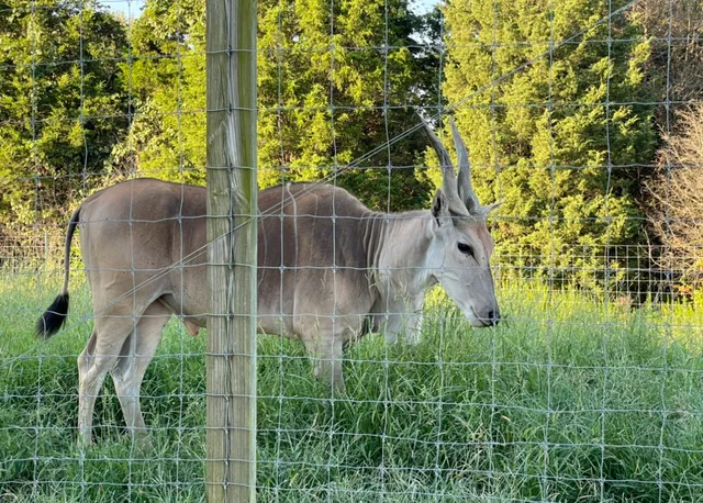 Little crooked creek safari