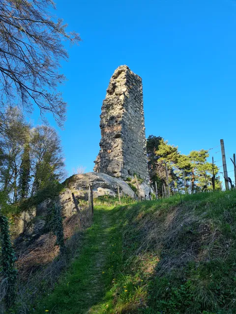 Burg Grimmenstein