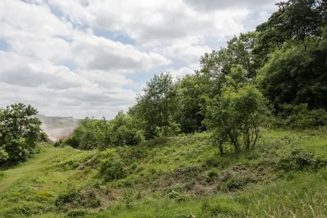 Wick Golden Valley Nature Reserve