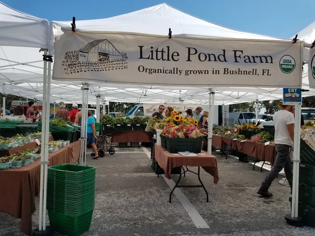 St. Petersburg Saturday Morning Market