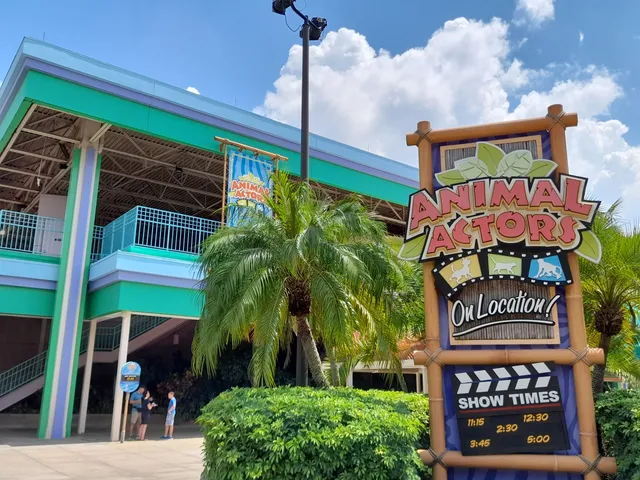 Animal Actors On Location!