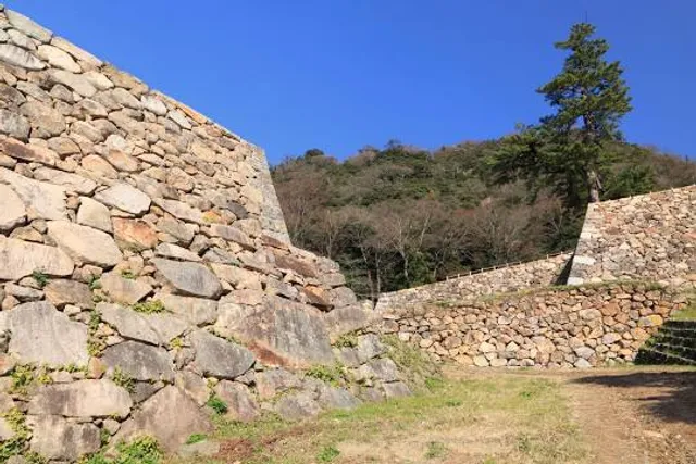 photo-2