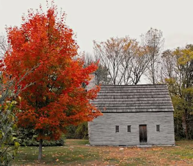 photo-1