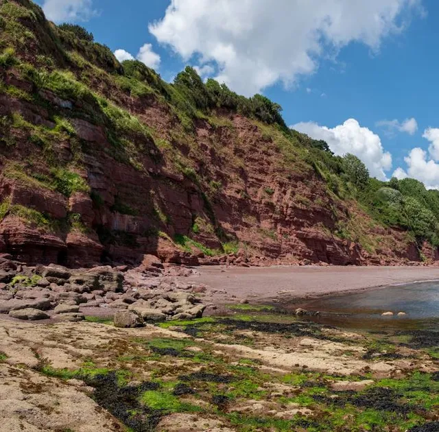 Shaldon Wildlife Trust