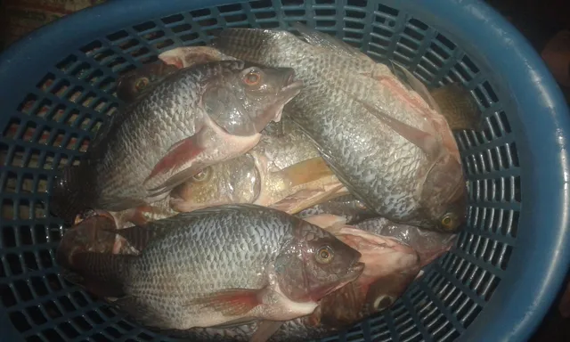 Venta De Pescados Y Camaron