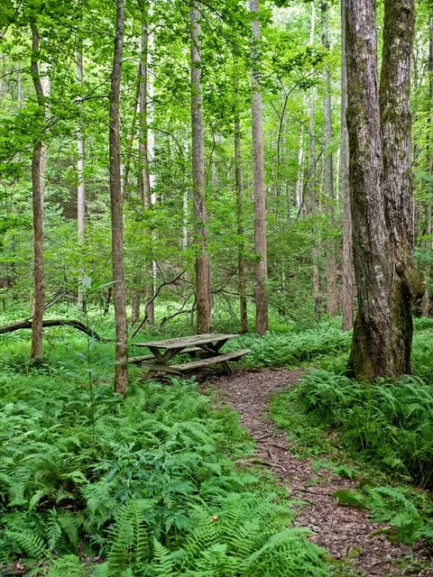 Smithgall Woods State Park