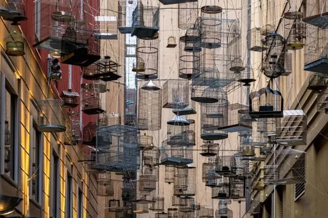 Angel Place Birdcages