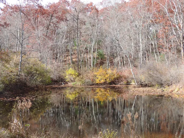 Laughing Brook Wildlife Sanctuary