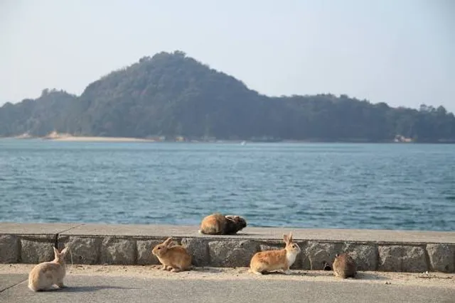 Ōkunoshima