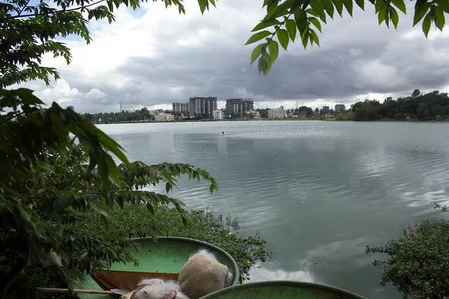 Rachenahalli Lake