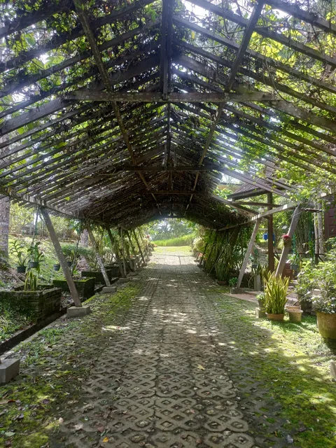 Dhamma Earth Kuching