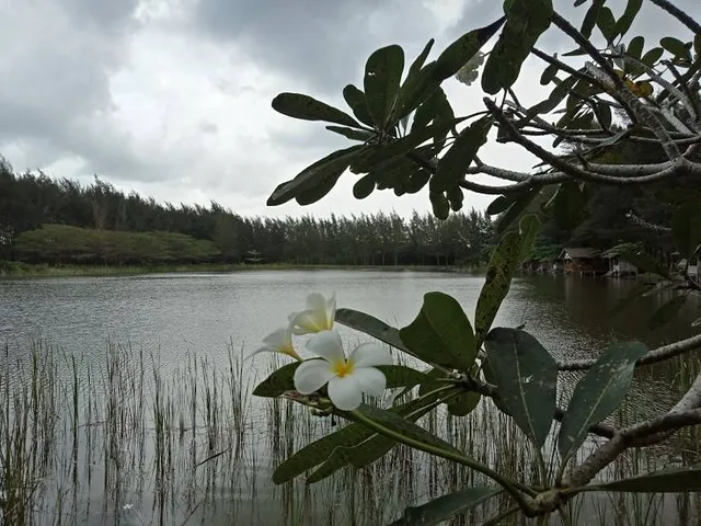 Bangka Botanical Garden