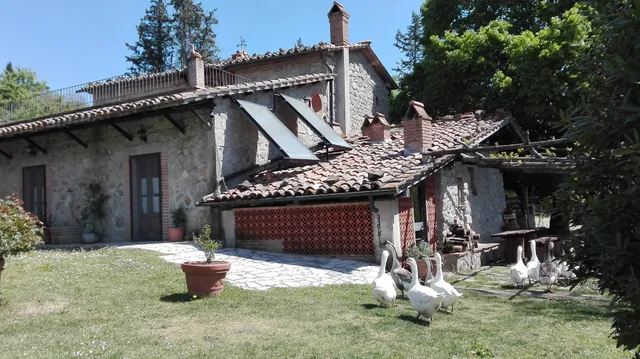 Agriturismo Podere Asche