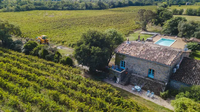 Le mas Poulitou - Grenache