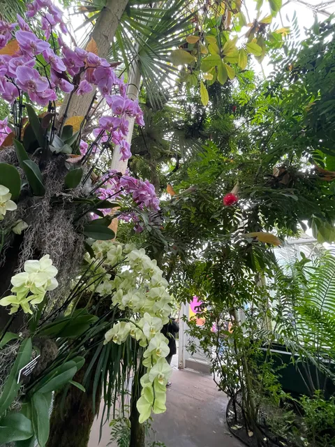 Enid A. Haupt Conservatory, NYBG