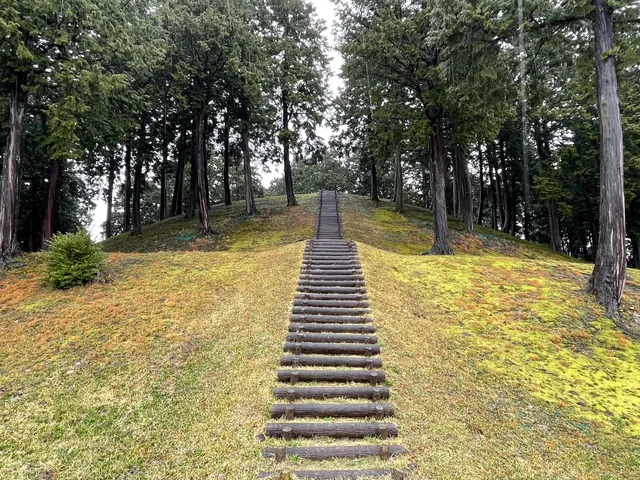 エビスヤマコフン