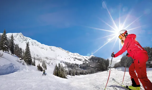 Brunnalm - Hohe Veitsch