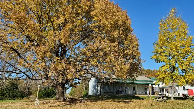 Hickory Hill Vineyards