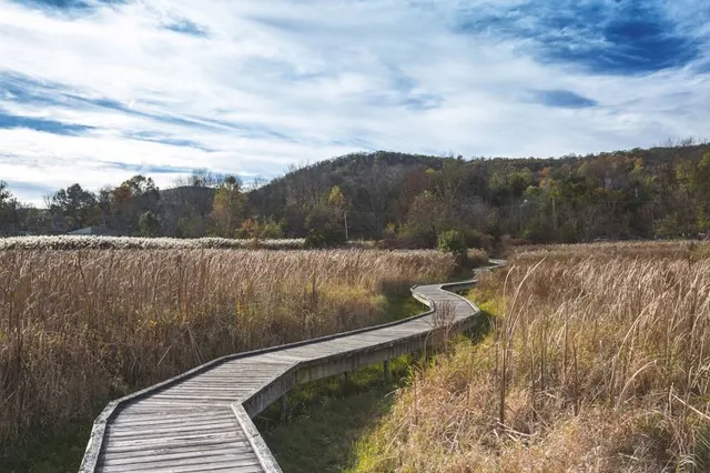 Appalachian Trail Boardwalk