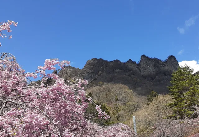 Prefectural Forest Park: Sakura no Sato