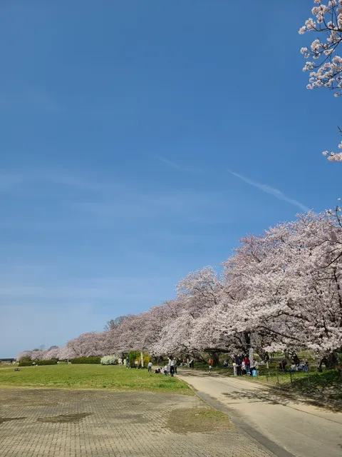 Miyagawa-Tsutsumi Park