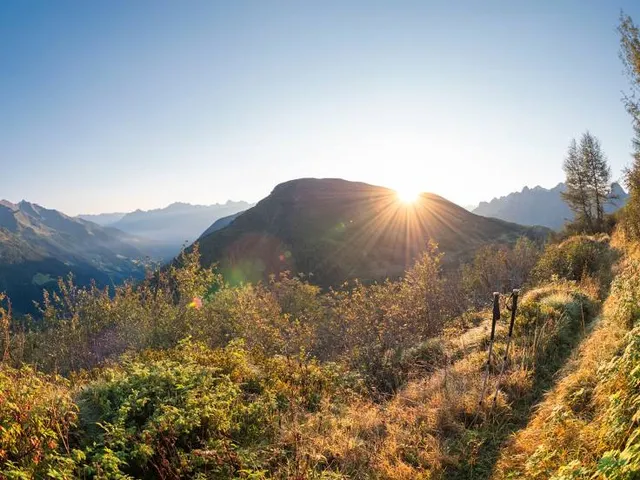 Cimone della Bagozza