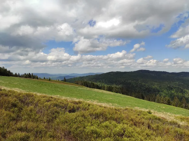 Polana Jaworzyna Kamienicka