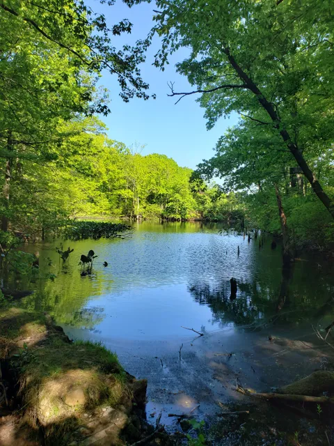Greenbelt Conservancy Headquarters (High Rock Park)